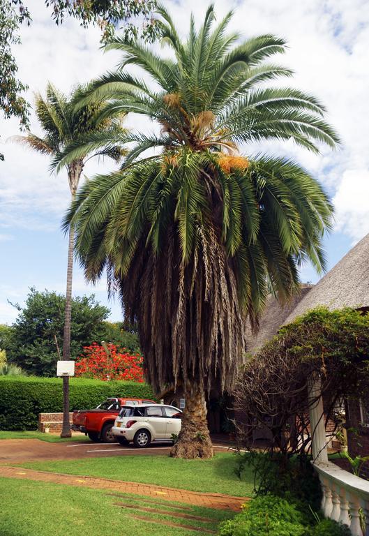 Pakanaka Lodge Harare Exterior foto